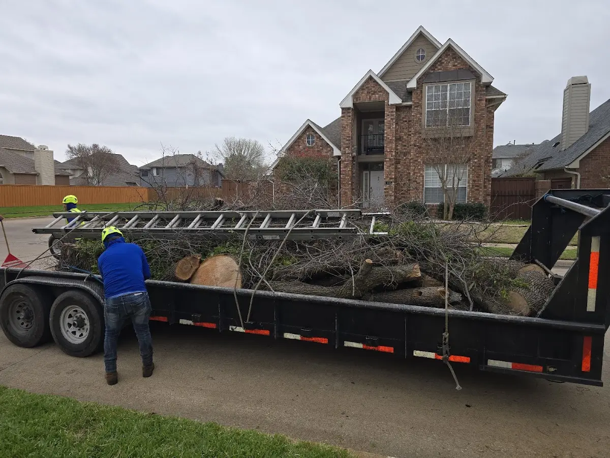 Expert Tree Removal with proper safety equipment in Port Charlotte